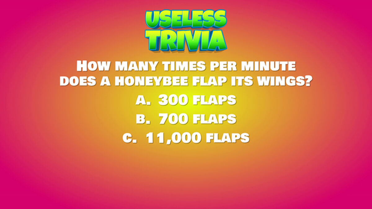 Useless Trivia Round Four image number null